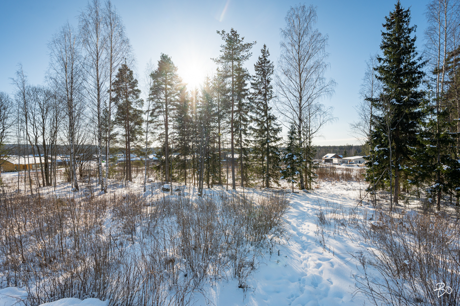 Kurjenjalankuja 6 - bild 8