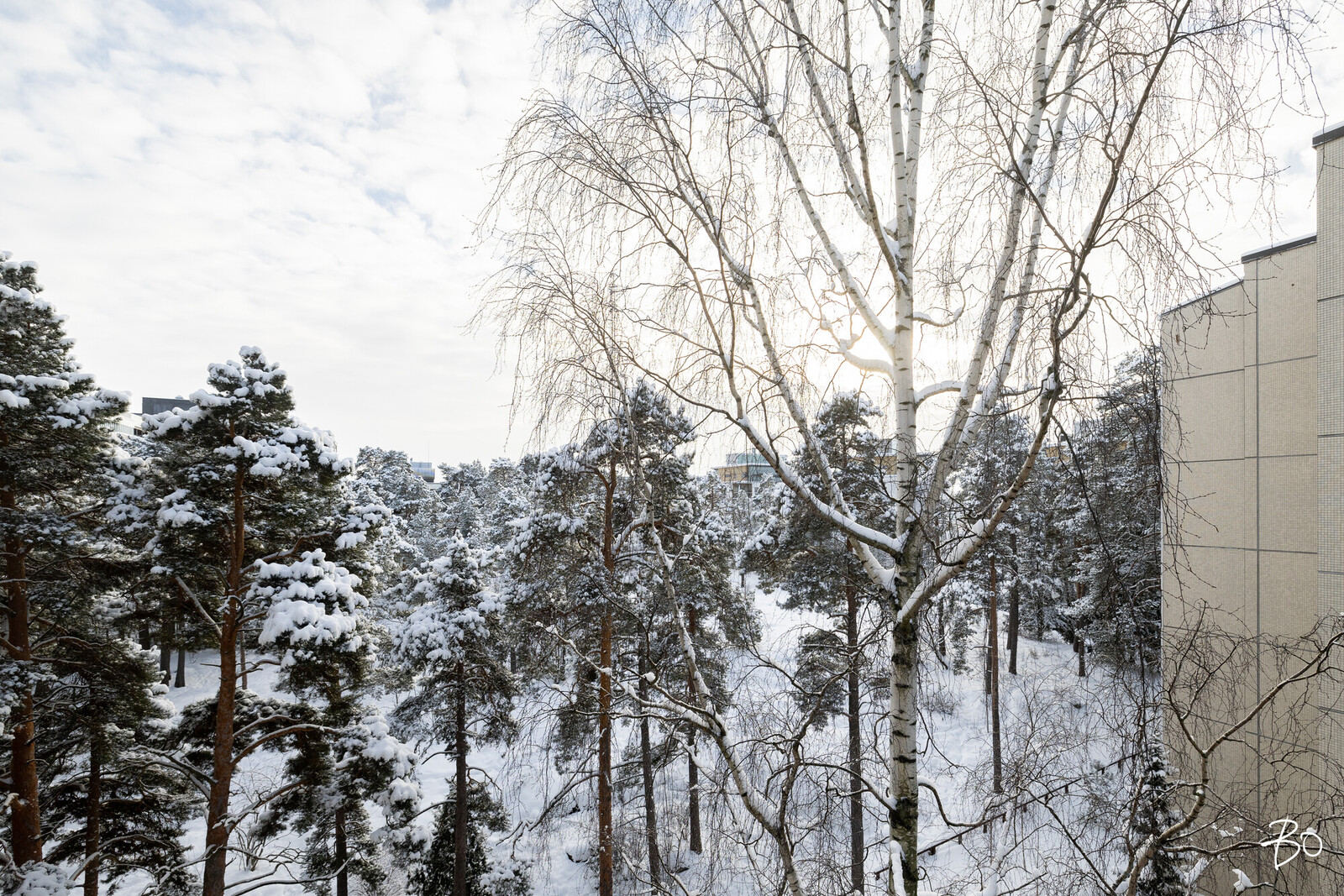 Itätuulenkuja 5 - kuva 24