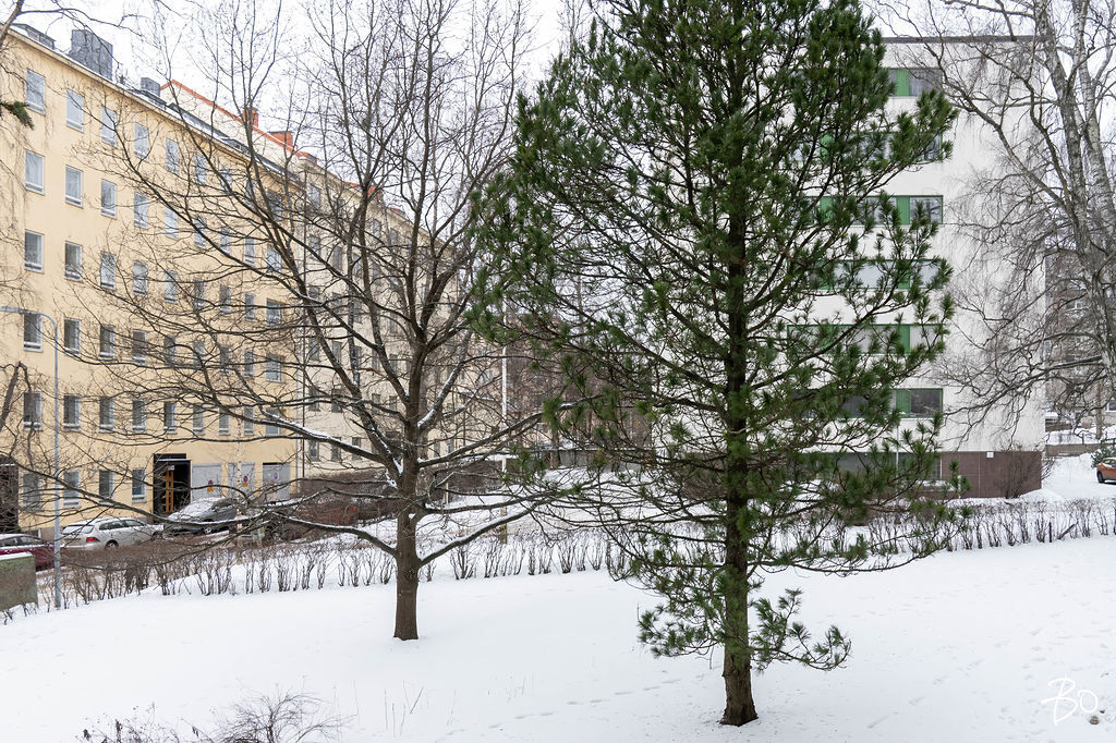 Perustie 11 - kuva 17