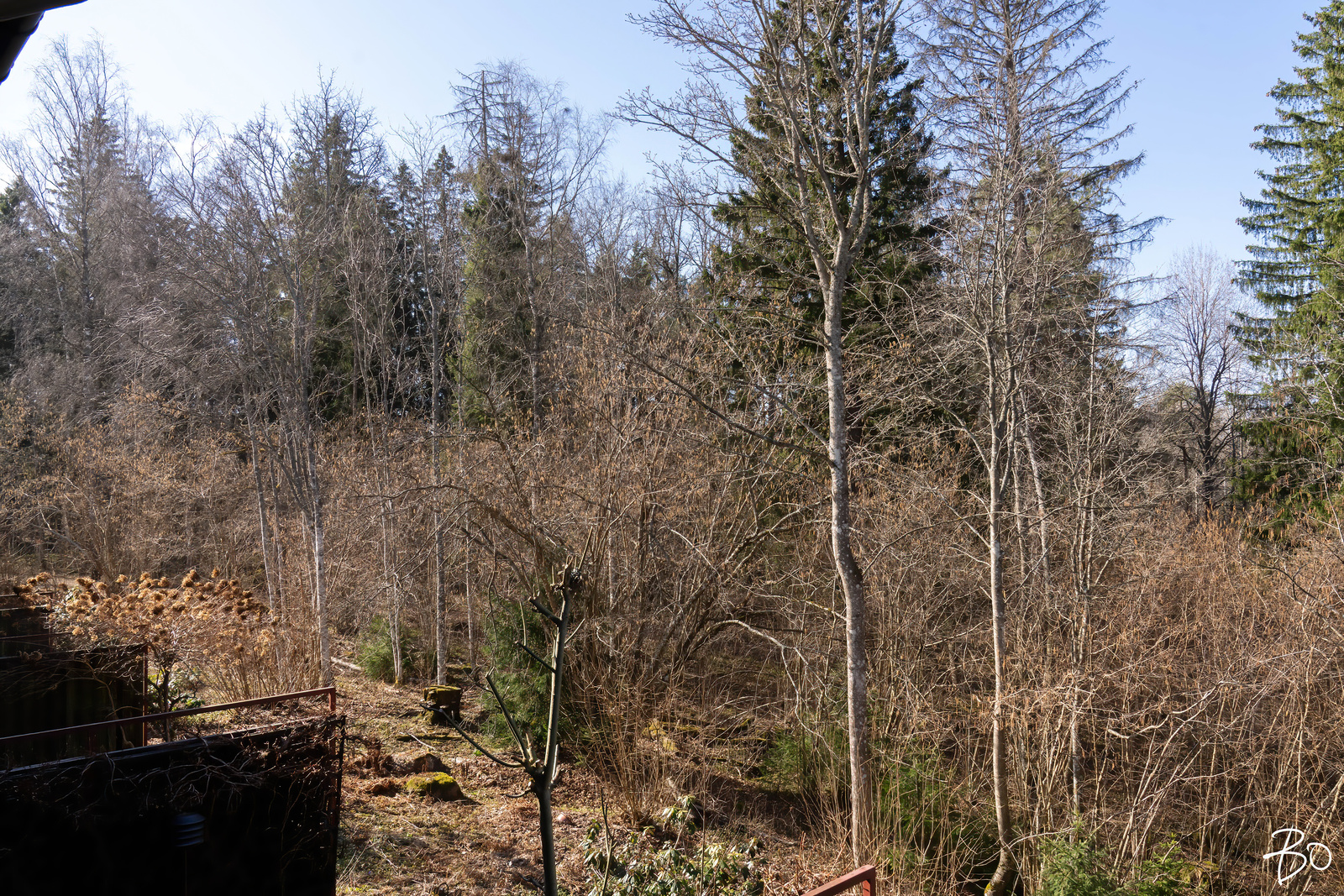 Pähkinätie 5 C 21  - kuva 23