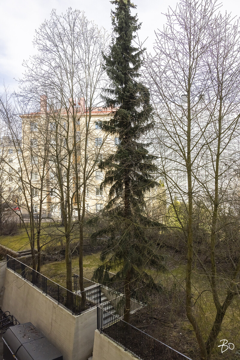 Messeniuksenkatu 3a - kuva 21