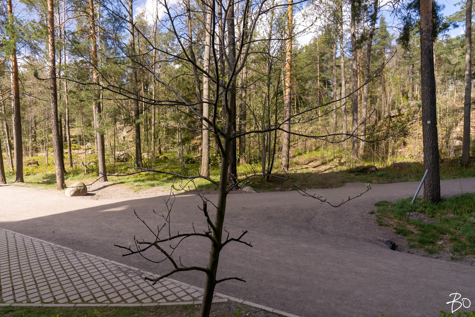 Martinpolku 8 - image 17
