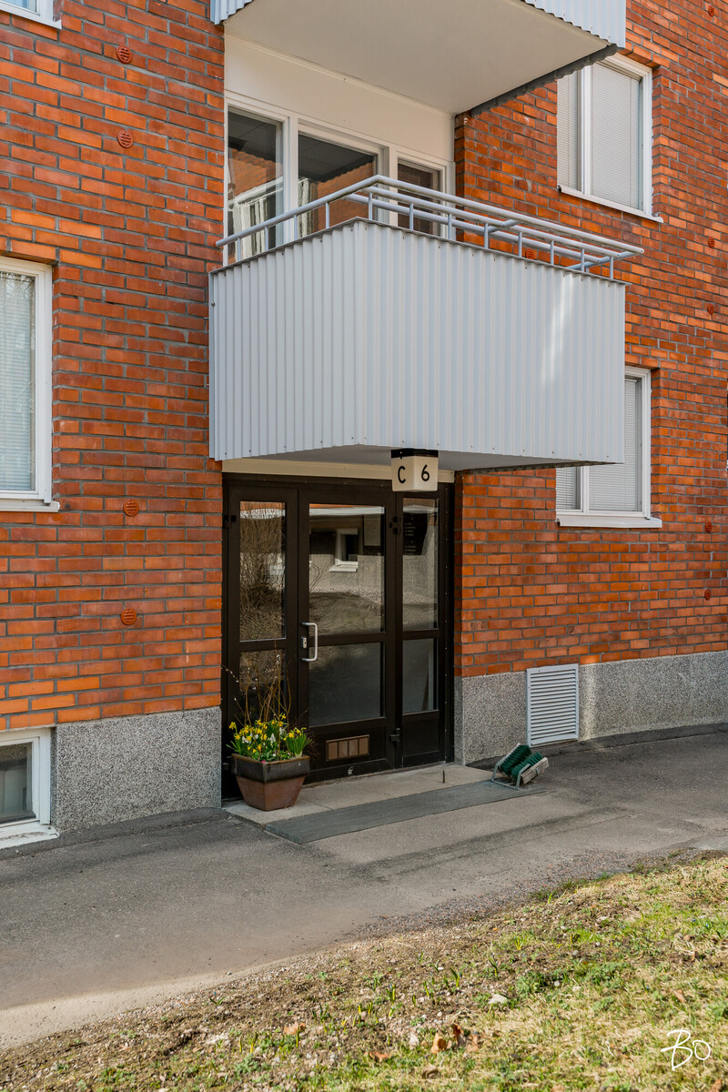 Vespertie 6 - kuva 17