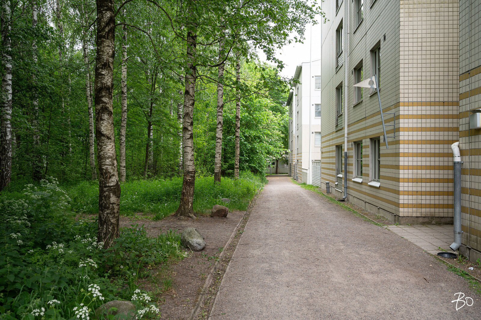 Parmaajanpolku 2 - kuva 20