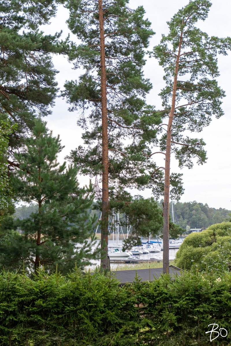 Keisarinnanpolku 2 - kuva 19