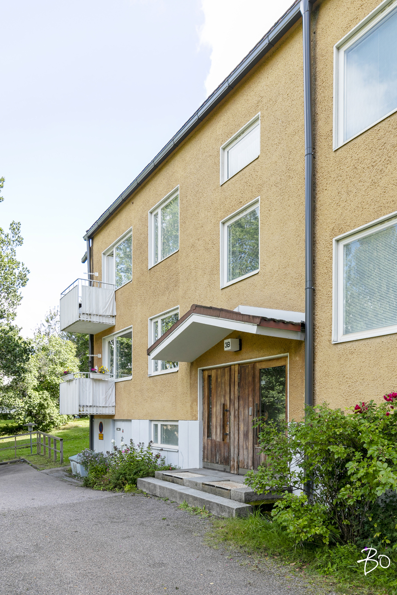 Ruusutarhantie 3 - kuva 20