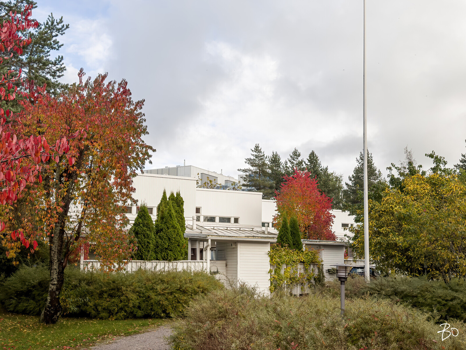 Vilkkupoiju 9 - kuva 26