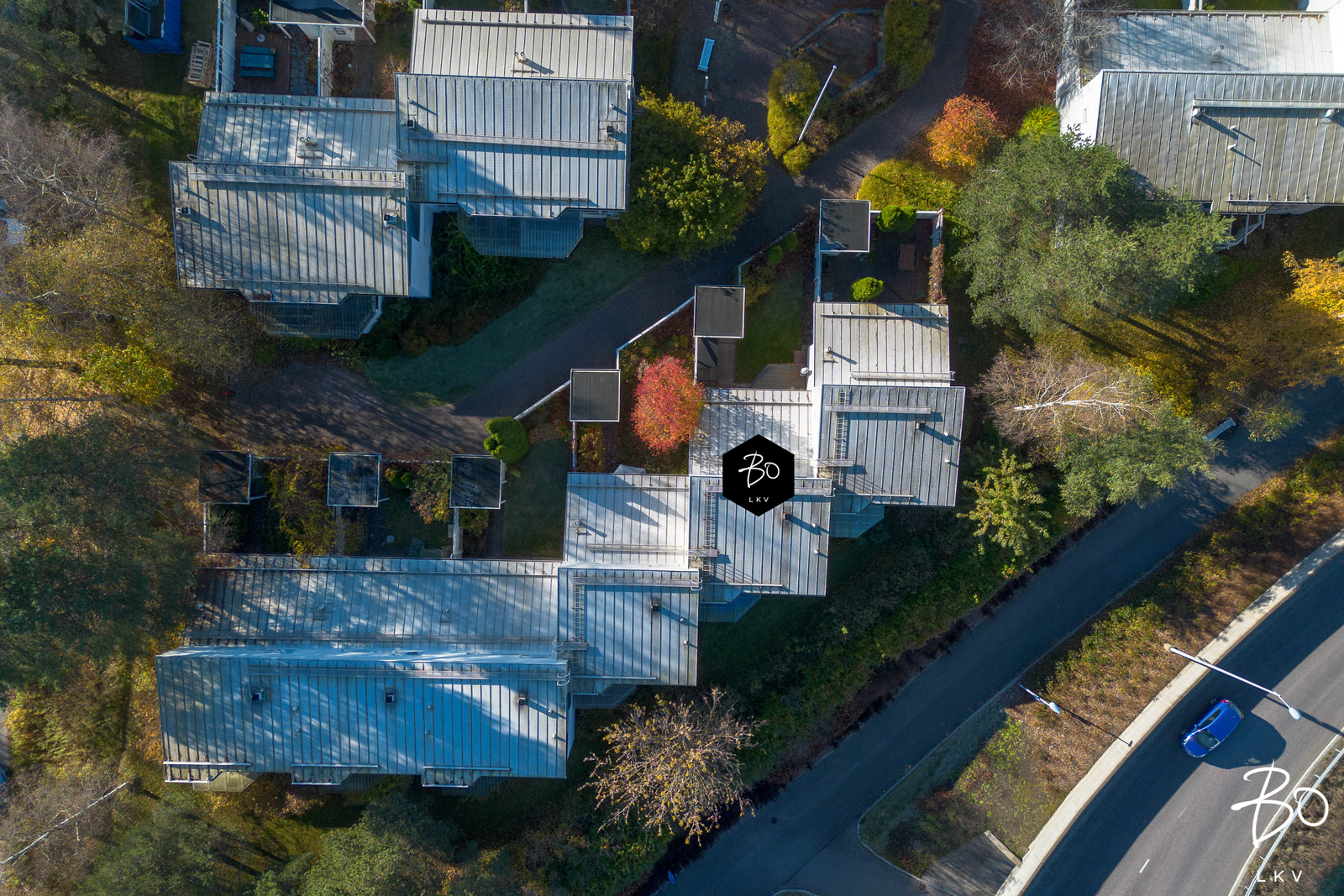 Vilkkupoiju 9 - kuva 31