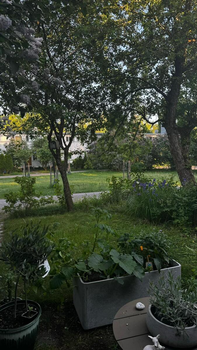 Seilimäki 18 - kuva 22