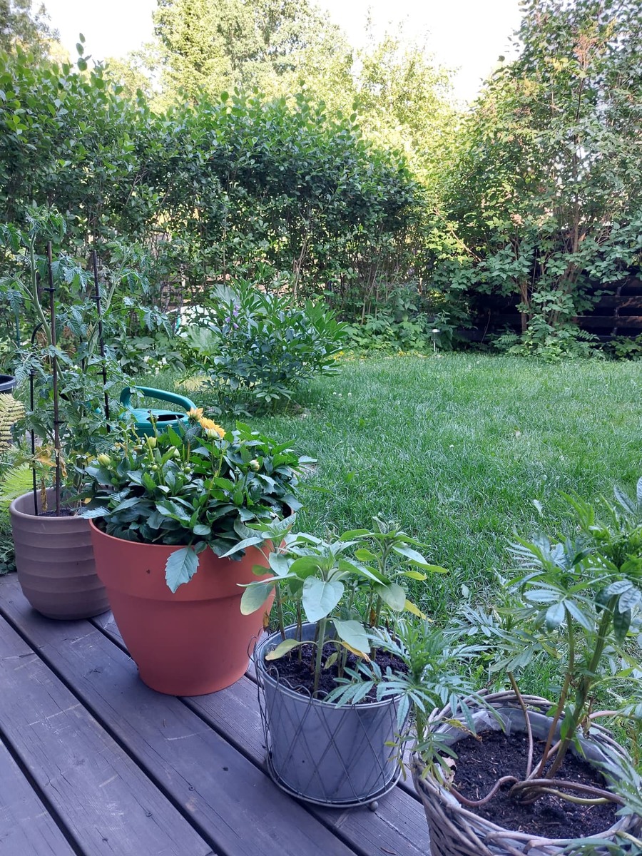 Pitkäjärventie 19 - kuva 22