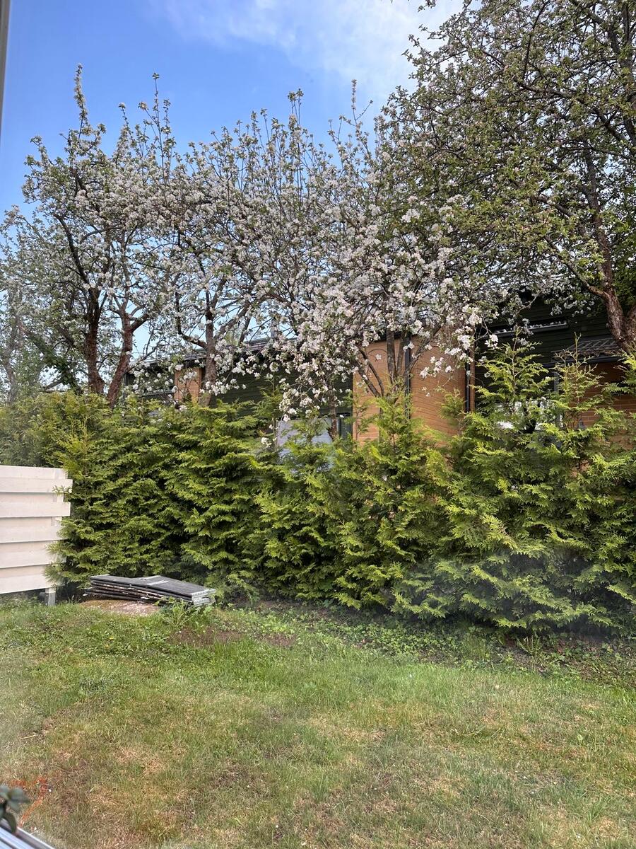 Taavinharju 4 - kuva 24