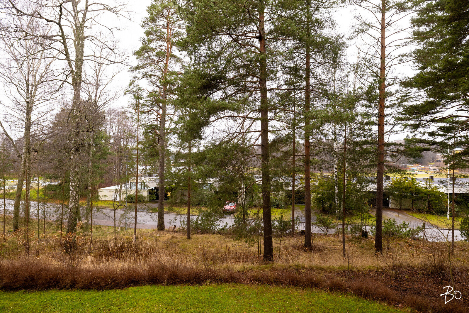 Harjuviita 14 - image 22