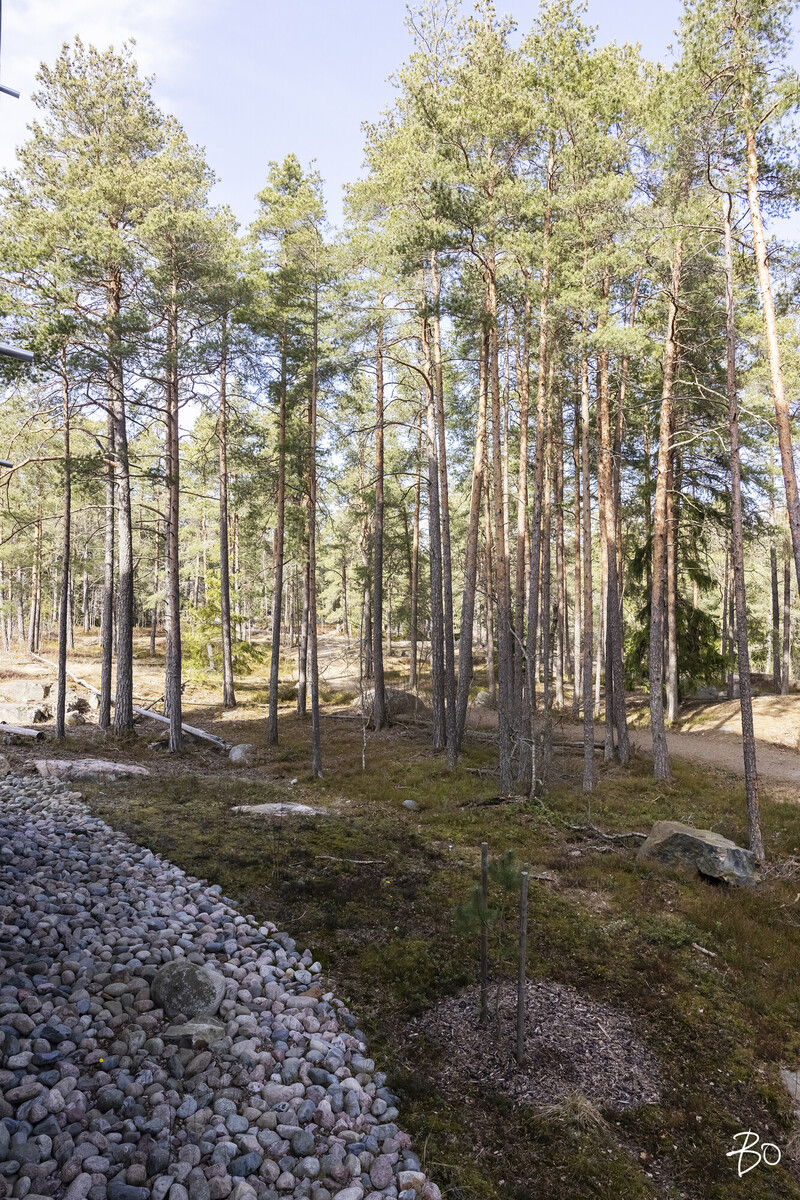 Mellstenintie 2 - kuva 24