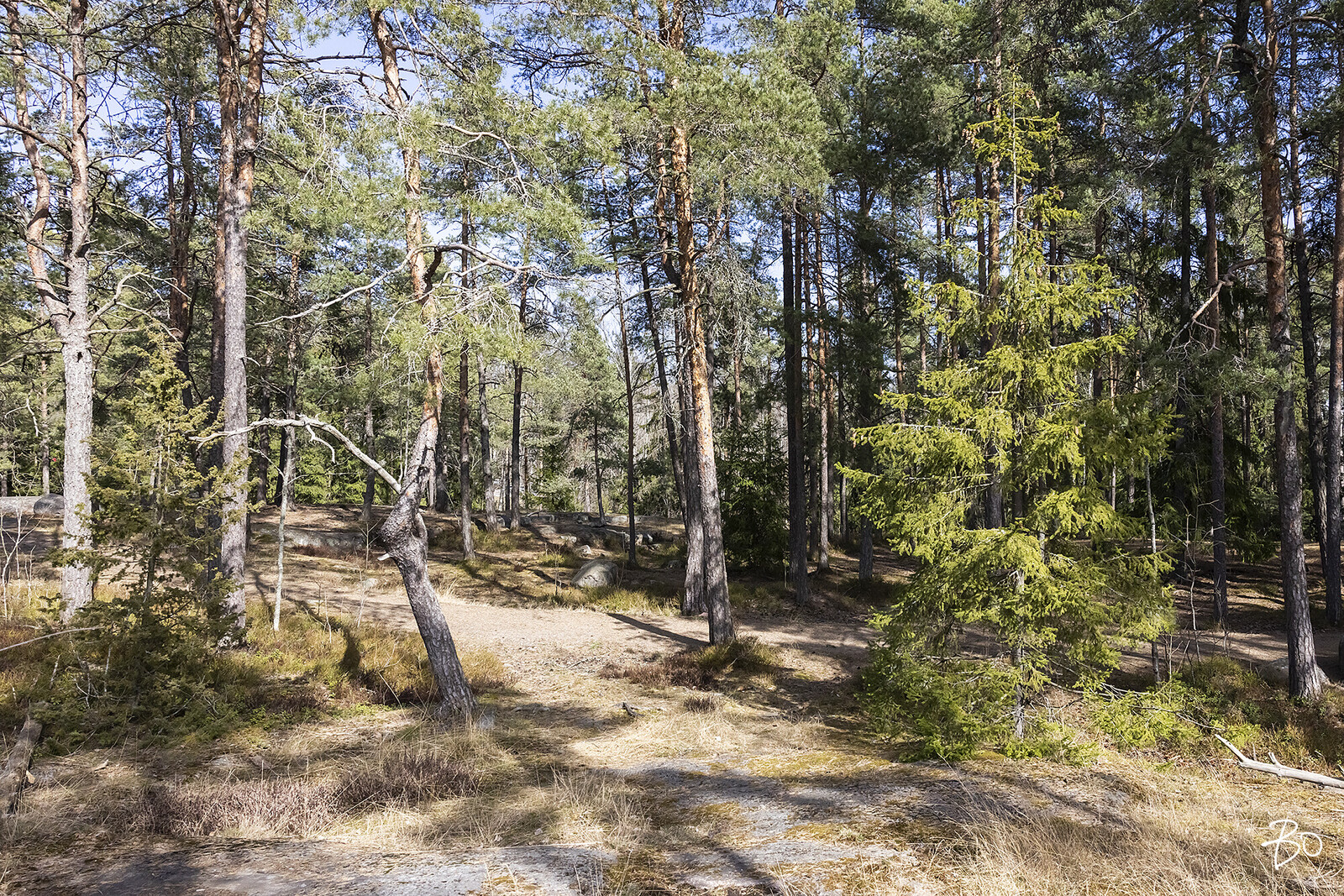 Mellstenintie 2 - kuva 26