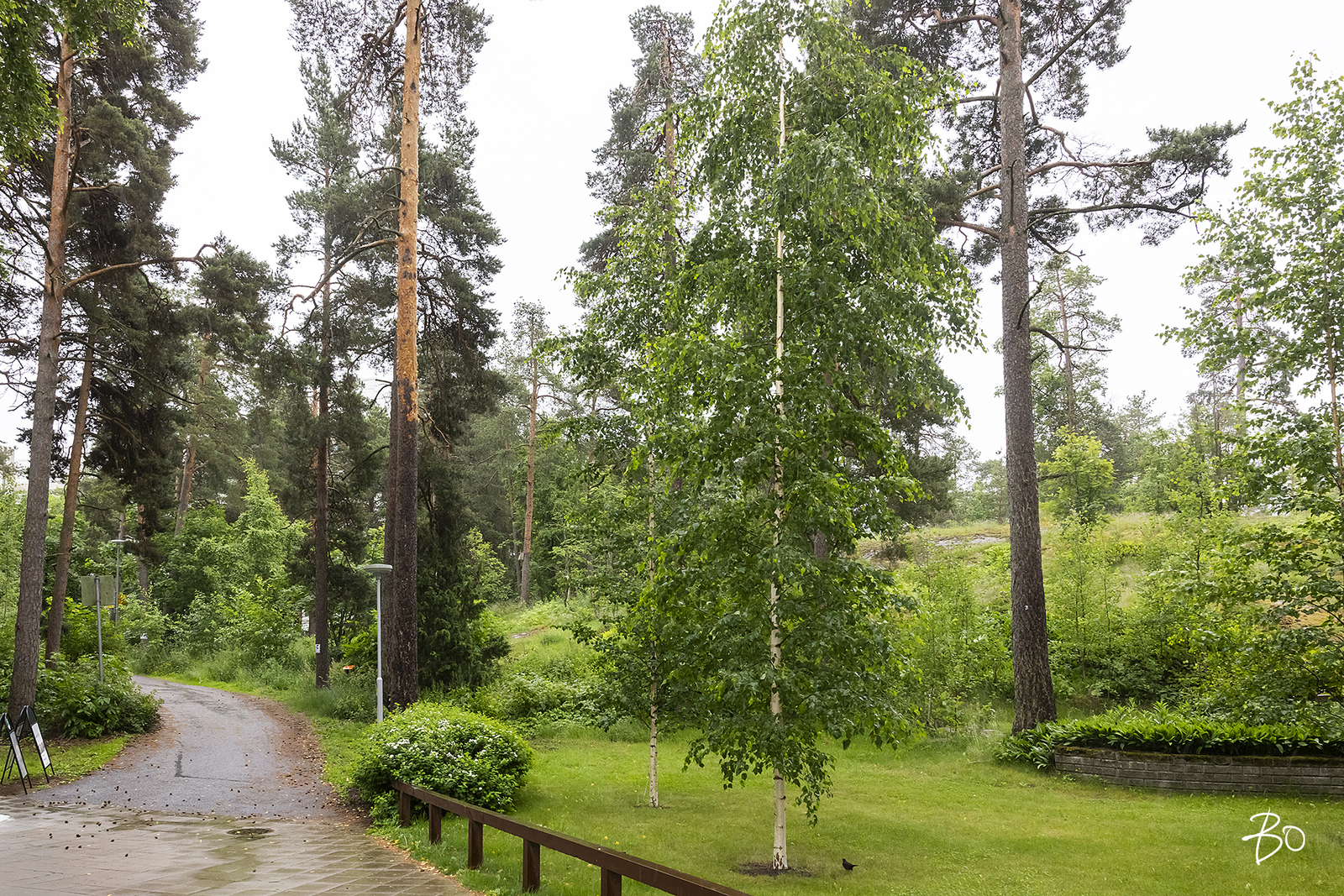 Itätuulenkuja 5 - kuva 19