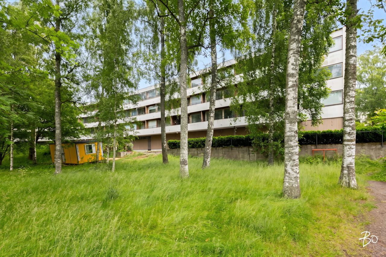 Harjuviita 14 - kuva 19