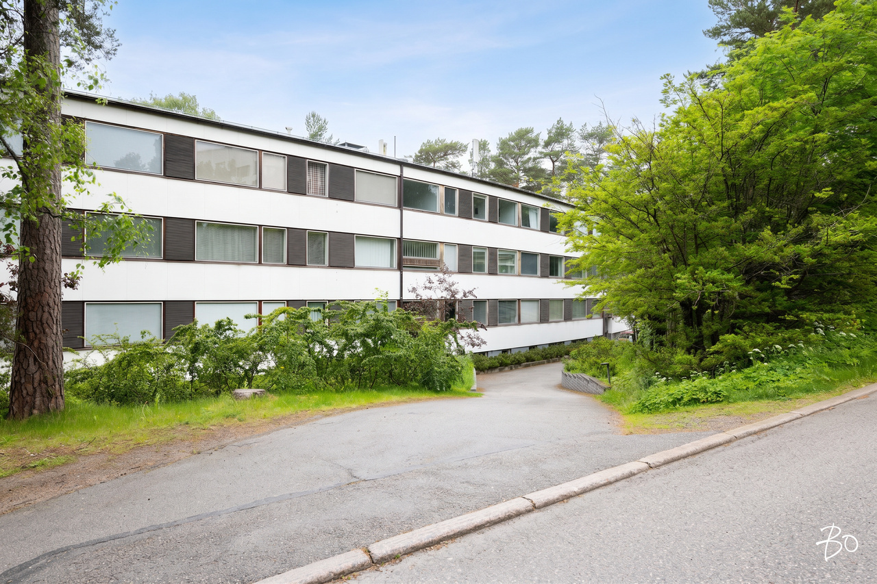 Harjuviita 14 - kuva 18