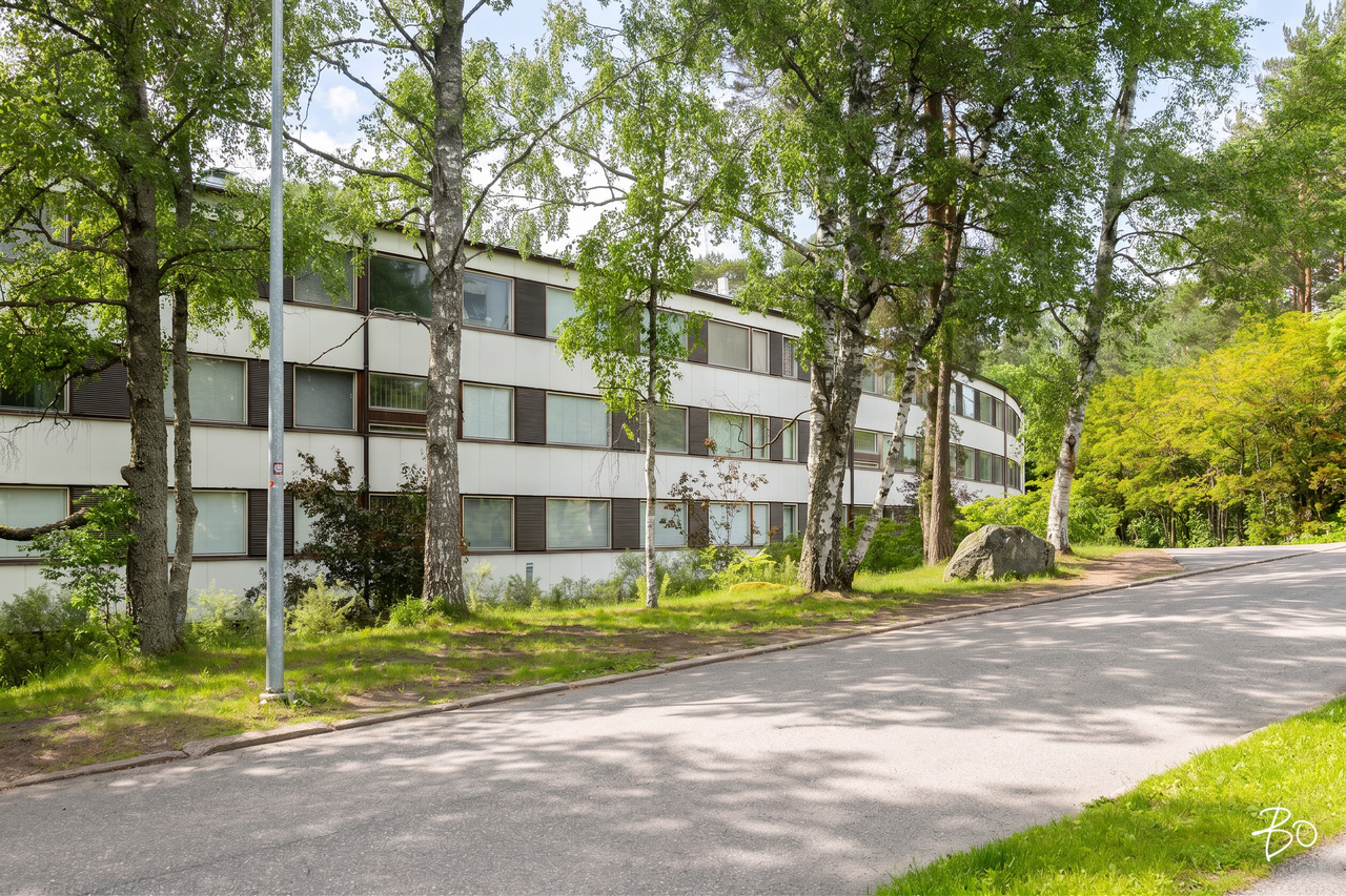 Harjuviita 14 - kuva 17
