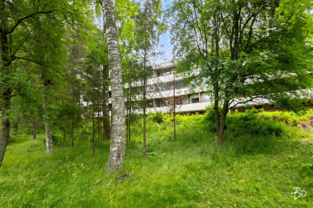 Harjuviita 14 - kuva 20