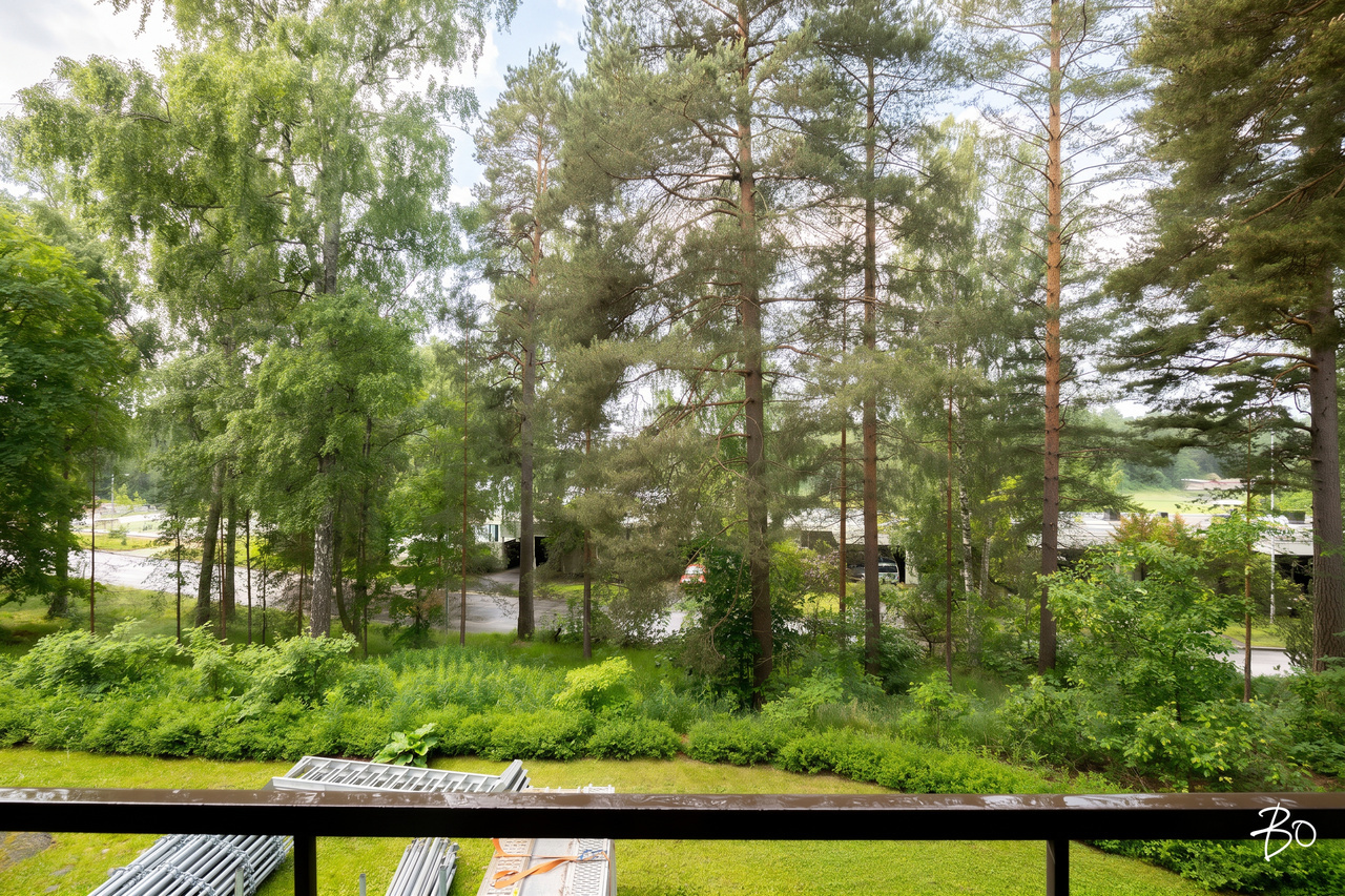 Harjuviita 14 - kuva 16