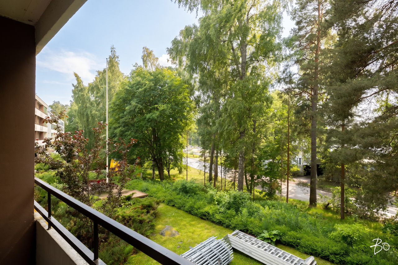 Harjuviita 14 - kuva 15