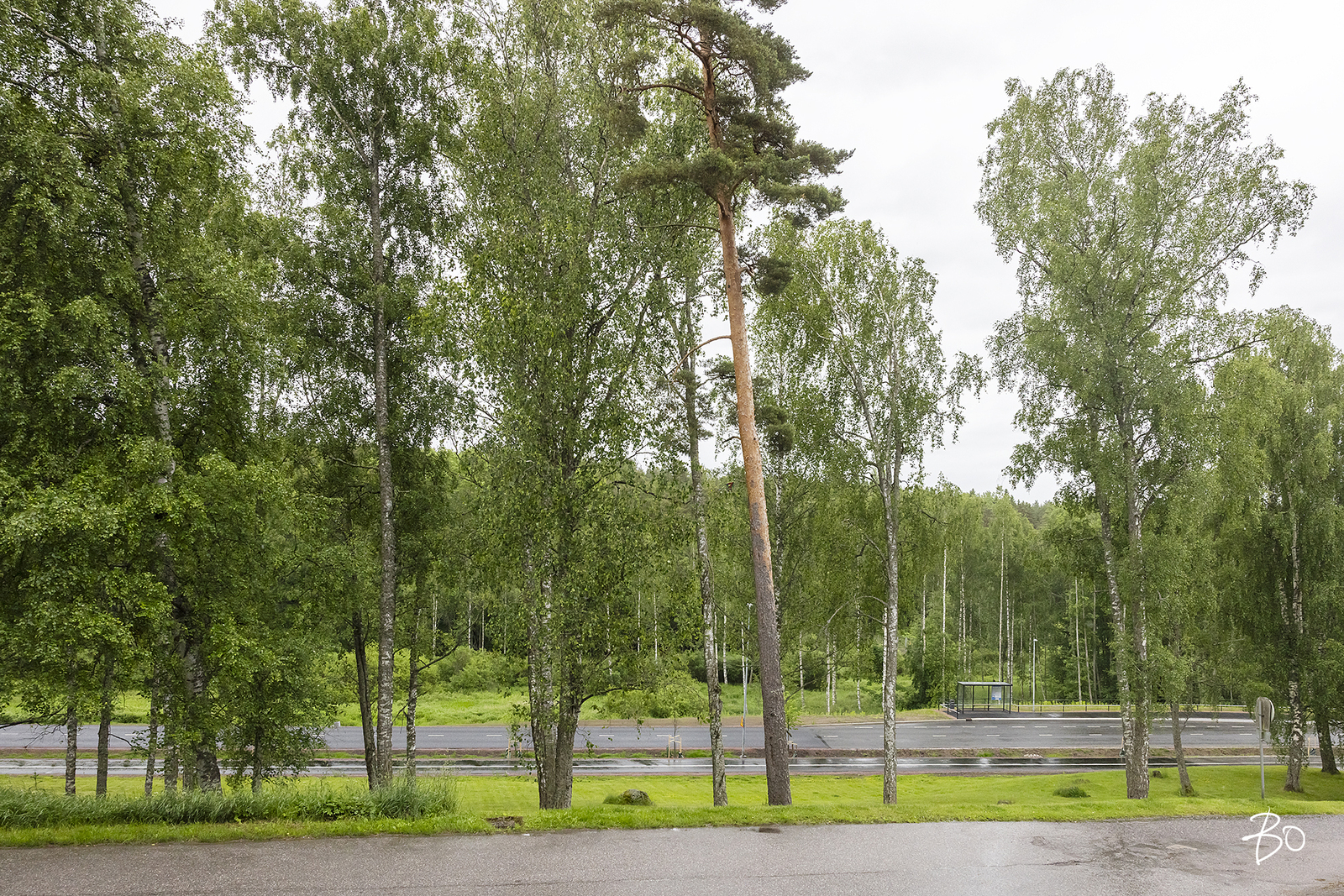 Harju 2 - kuva 17