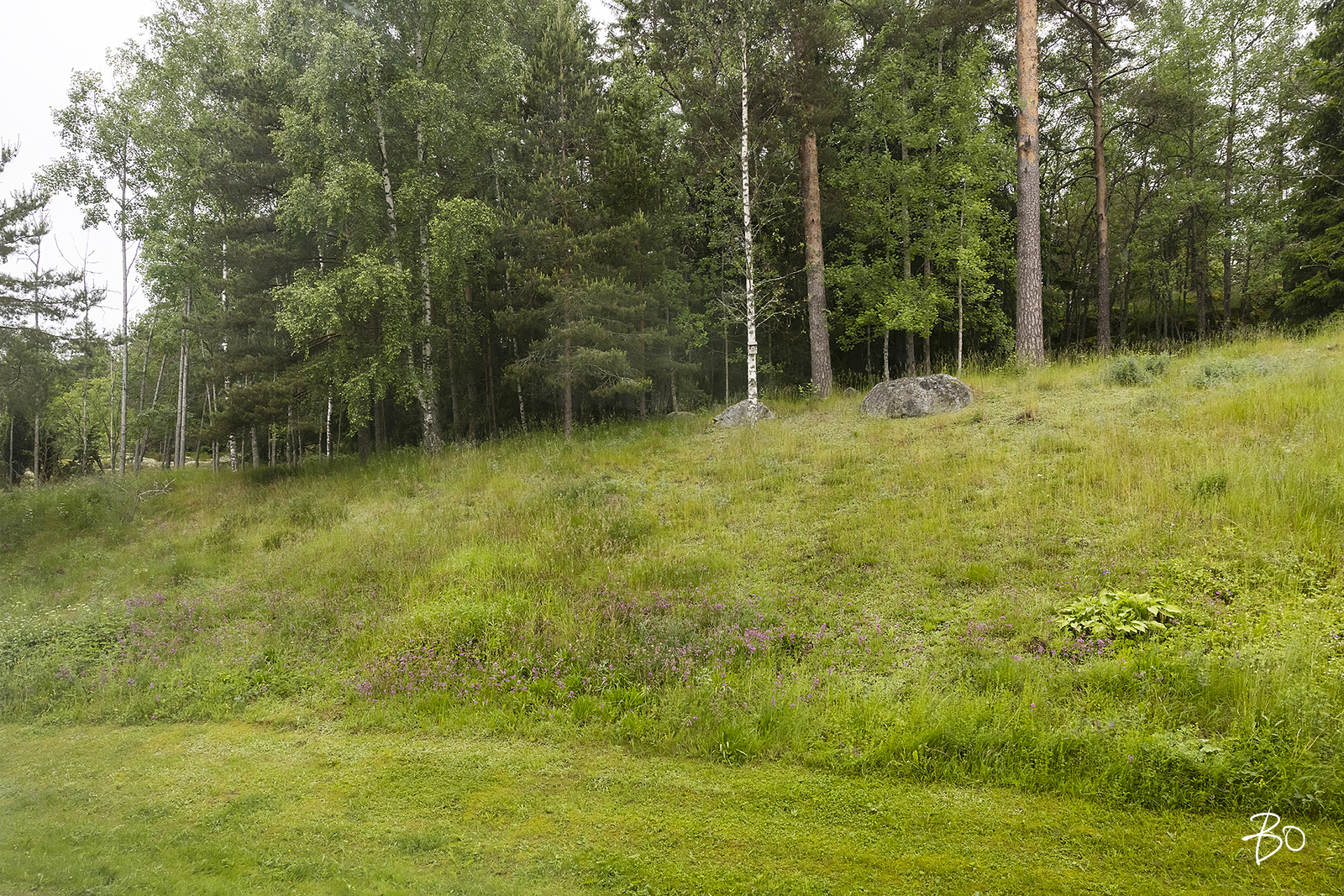 Harju 2 - kuva 18
