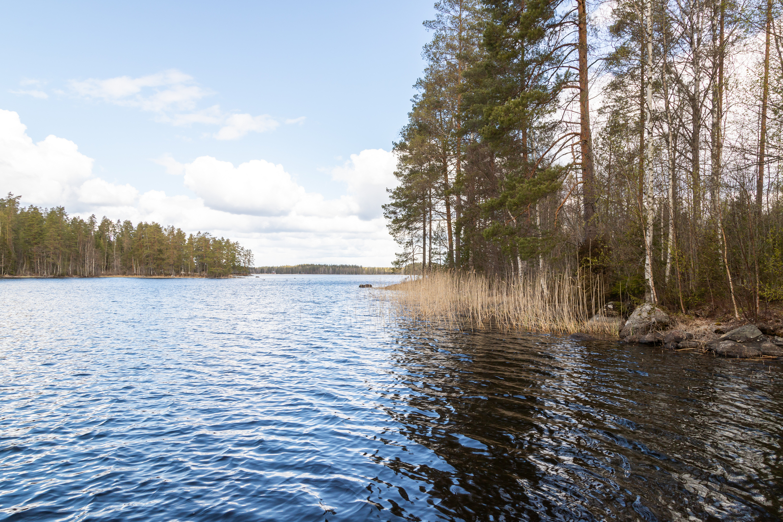 Tammikoskentie 818 - kuva 34