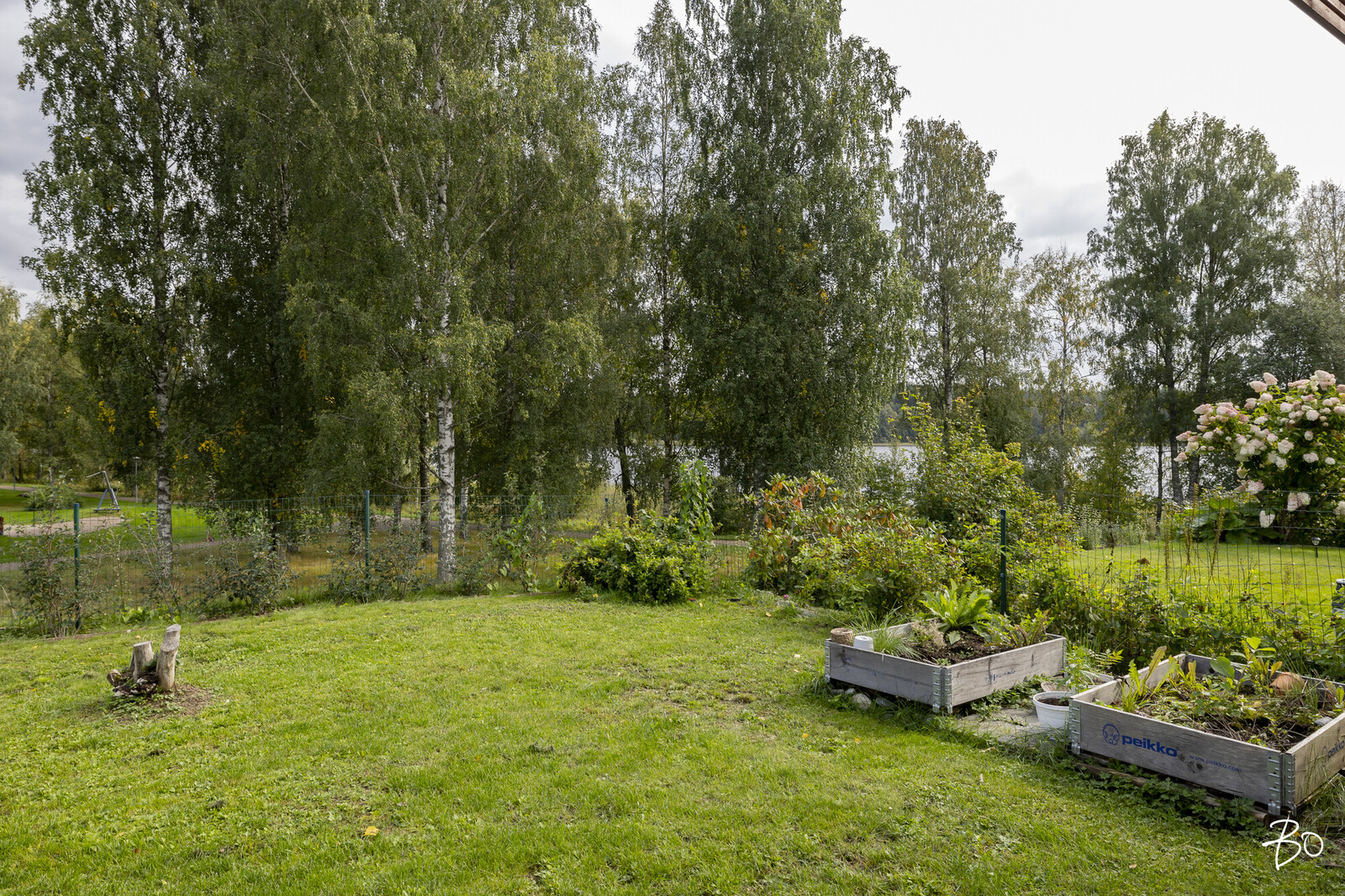 Kupomäki 3 - kuva 31