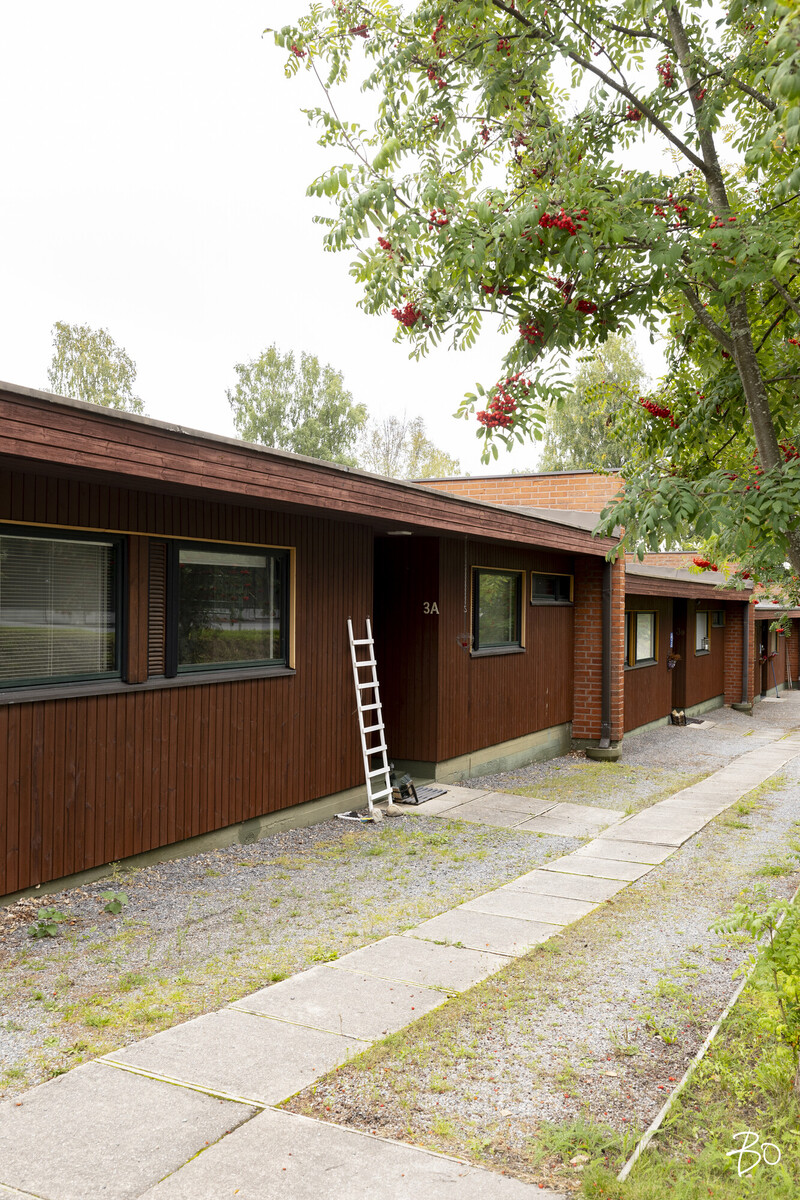 Kupomäki 3 - kuva 39