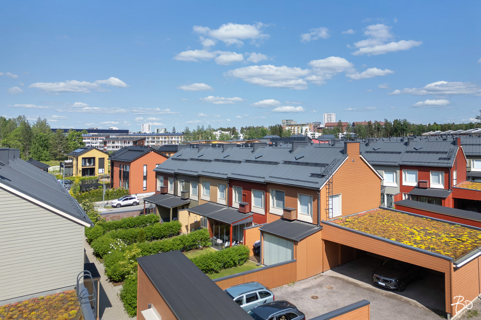 Neitoperhosentie 9 - kuva 3