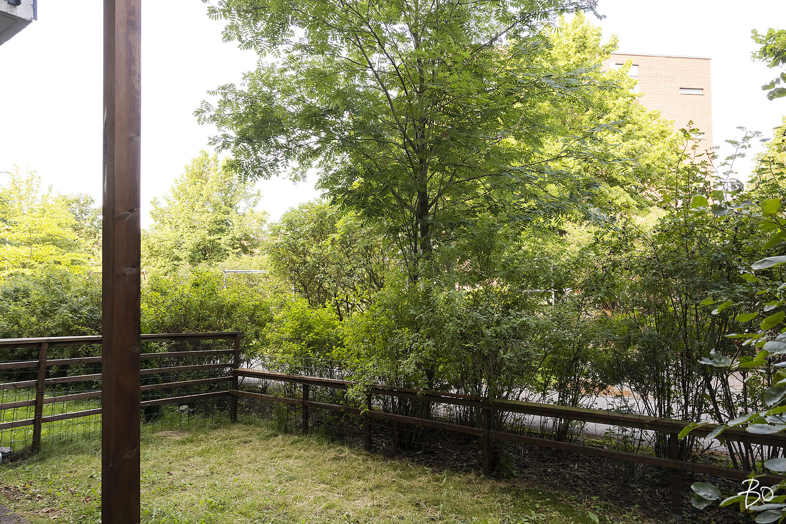 Petter Wetterin tie 9 - kuva 17