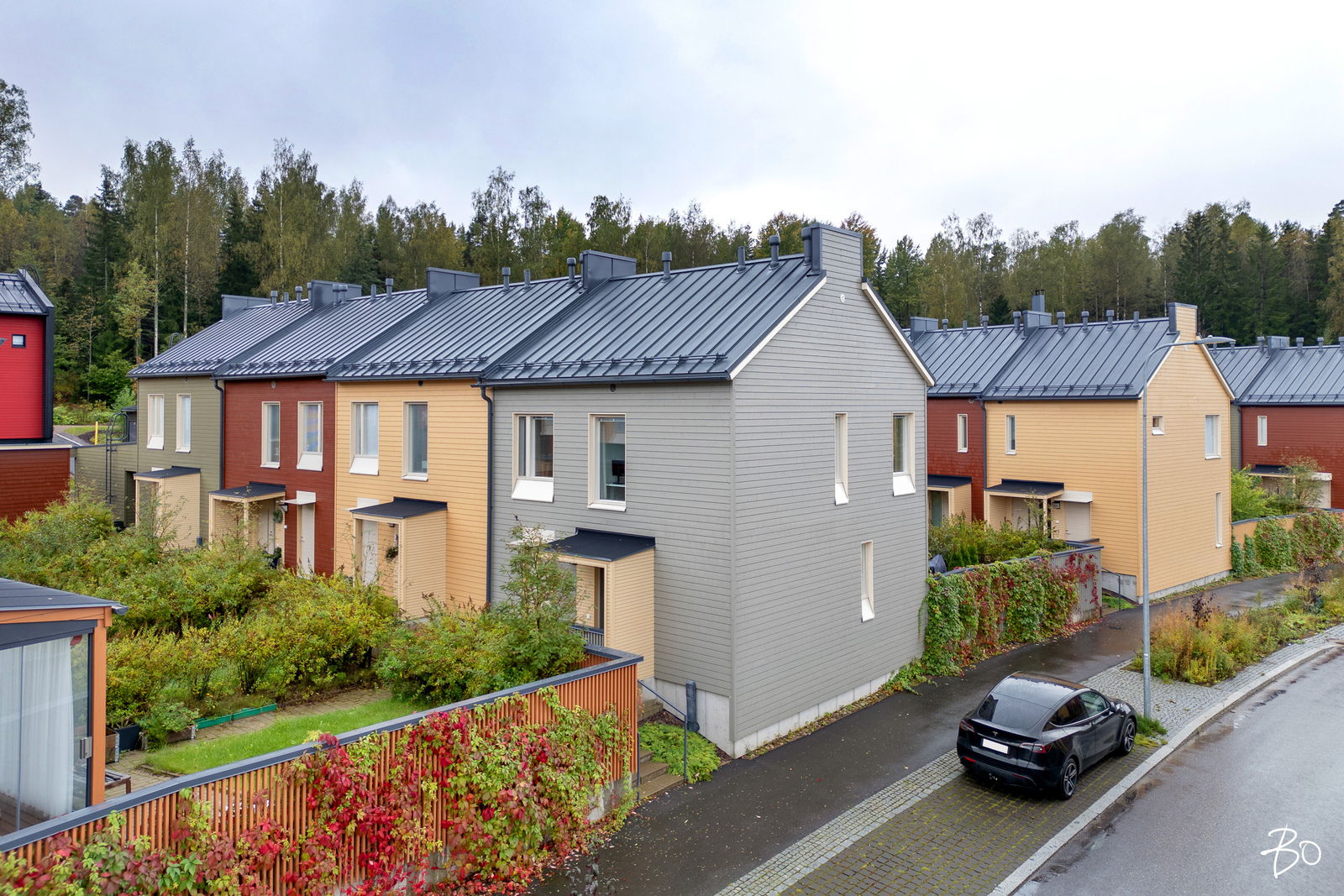 Neitoperhosentie 7 - bild 25