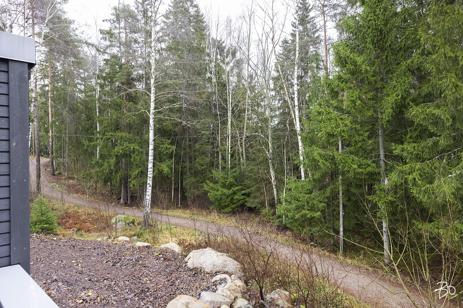 Bassenraitti 1 - image 23