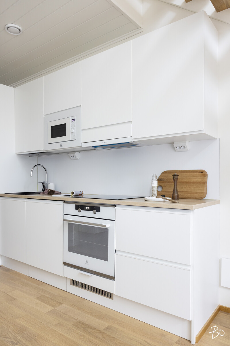 Bassenraitti 1 - image 12