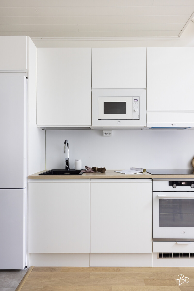 Bassenraitti 1 - image 13