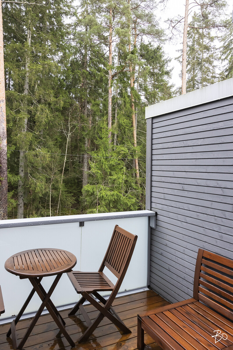 Bassenraitti 1 - image 22