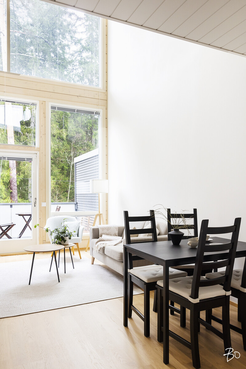 Bassenraitti 1 - image 8