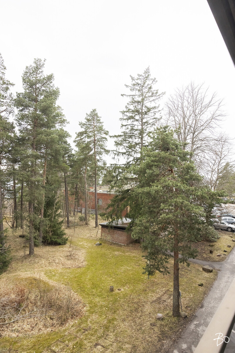 Niittykallio 2 - kuva 21