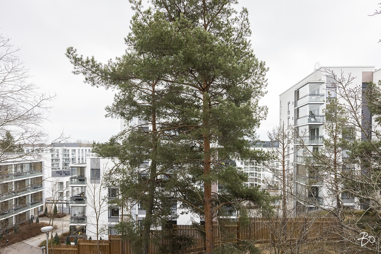 Niittykallio 2 - kuva 22