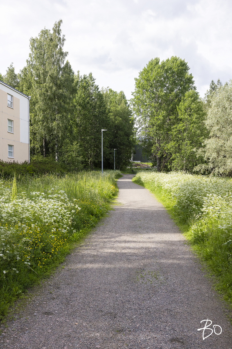 Sarastuspolku 5 - kuva 25