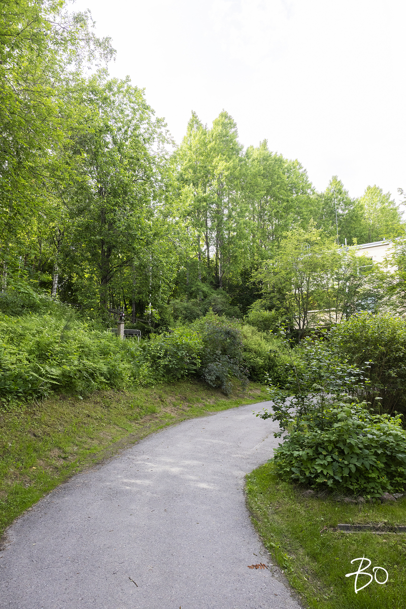 Sarastuspolku 5 - kuva 26
