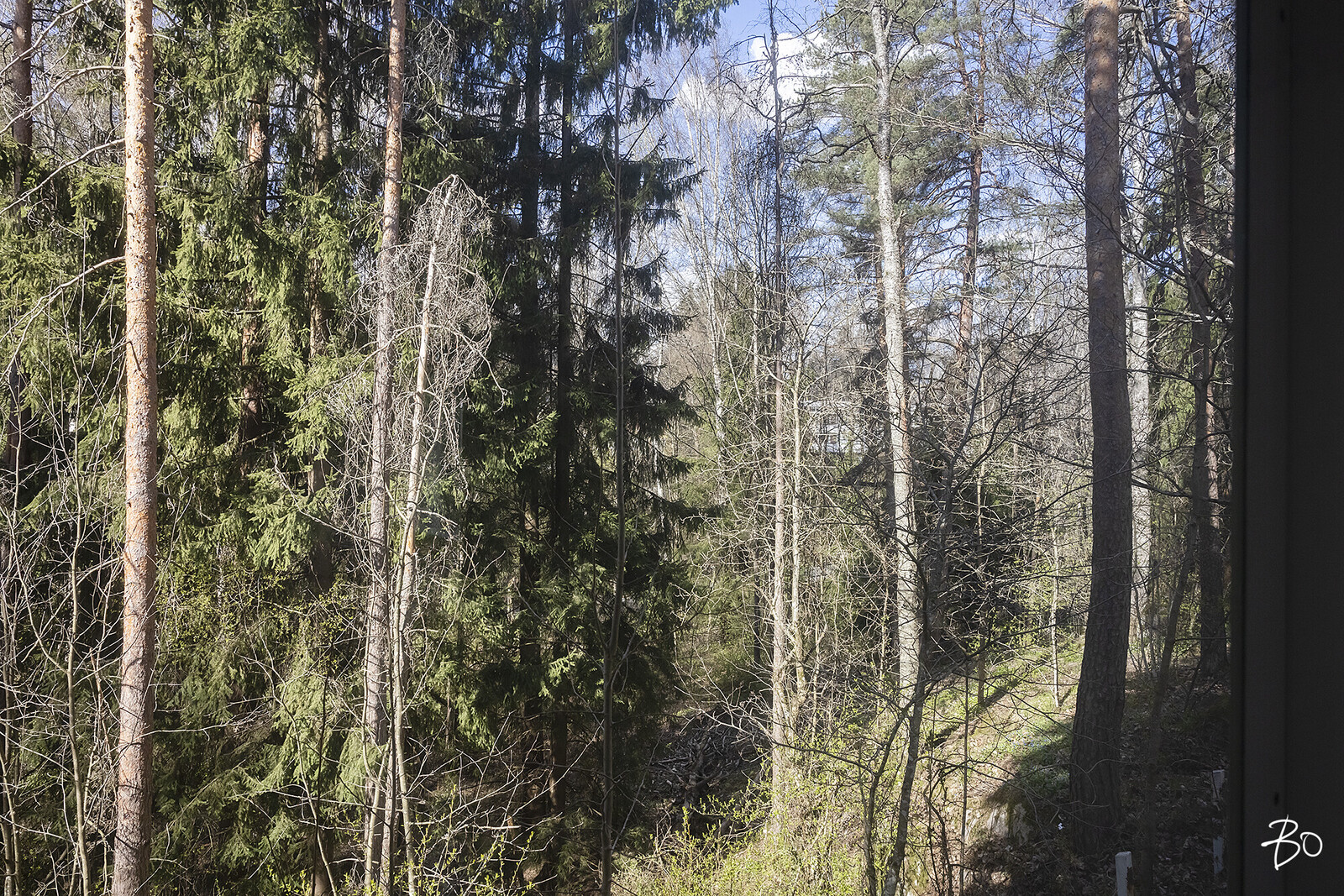 Maakotkanpolku 4 - kuva 14