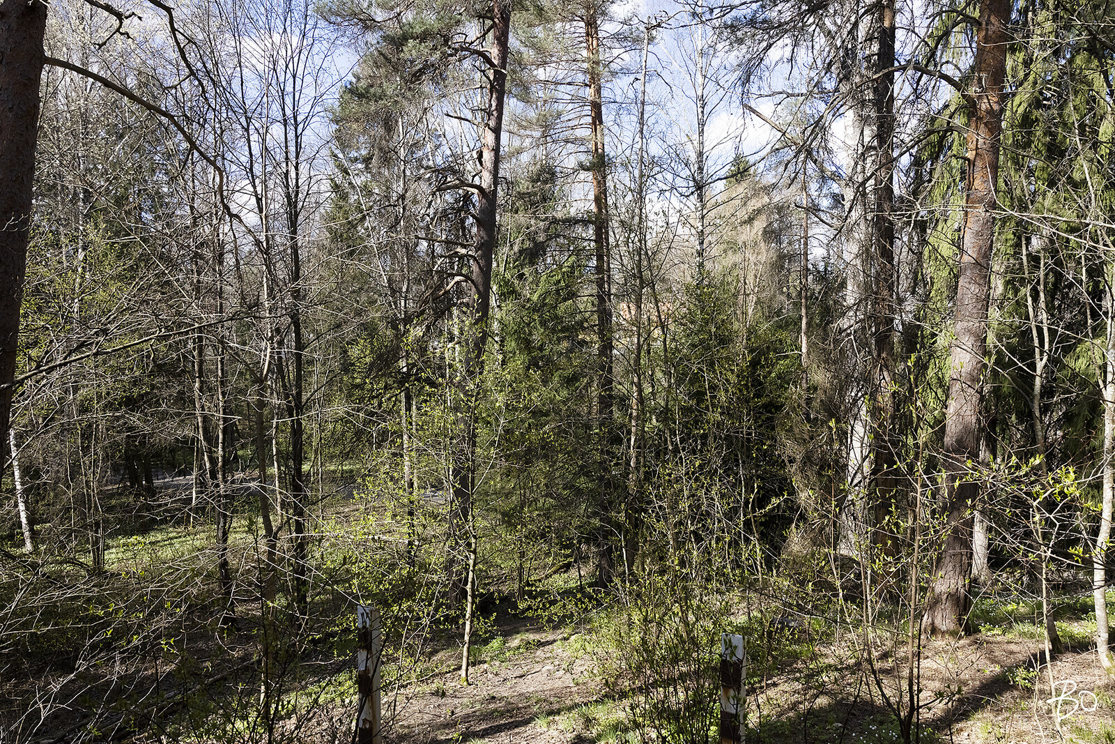 Maakotkanpolku 4 - kuva 13