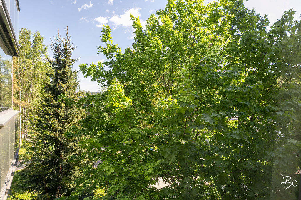 Kaustisentie 7 - image 30