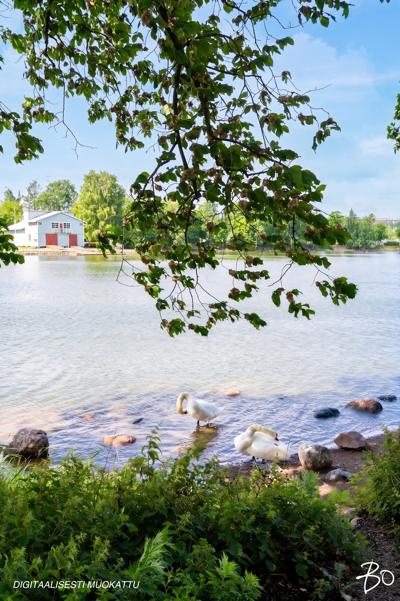 Siltasaarenkärki 1 - kuva 35