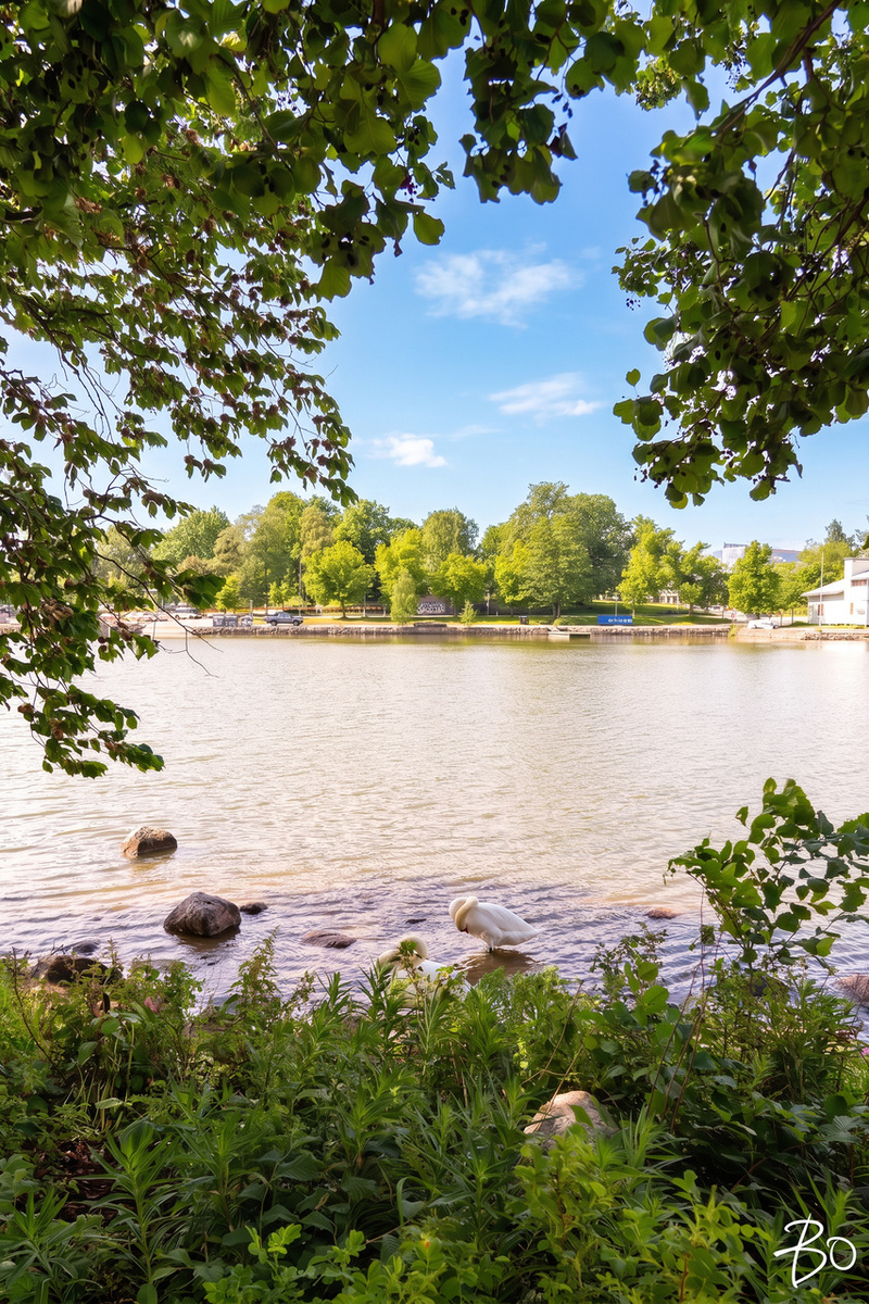 Siltasaarenkärki 1 - kuva 31