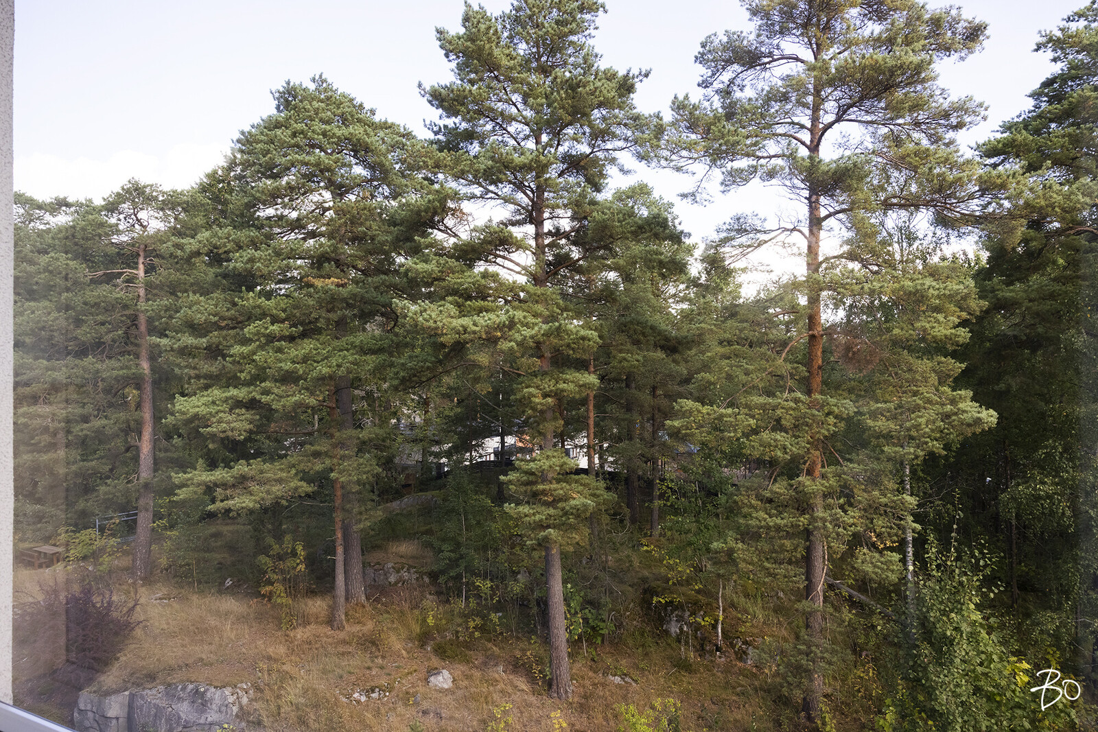 Rudolfintie 13 - image 23