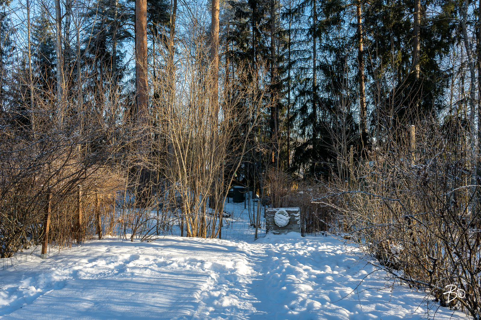 Kikaristonkuja 4 - kuva 24