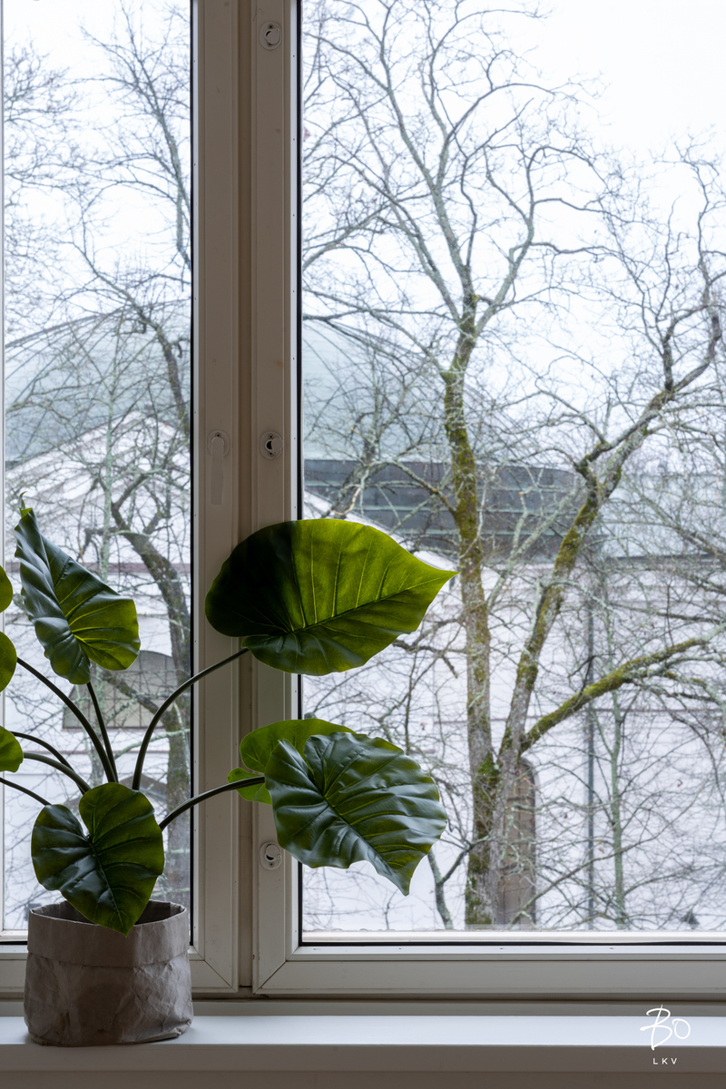 Hallituskatu 12 - bild 6